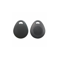 EM Proximity Tag (EM Standard Format)
